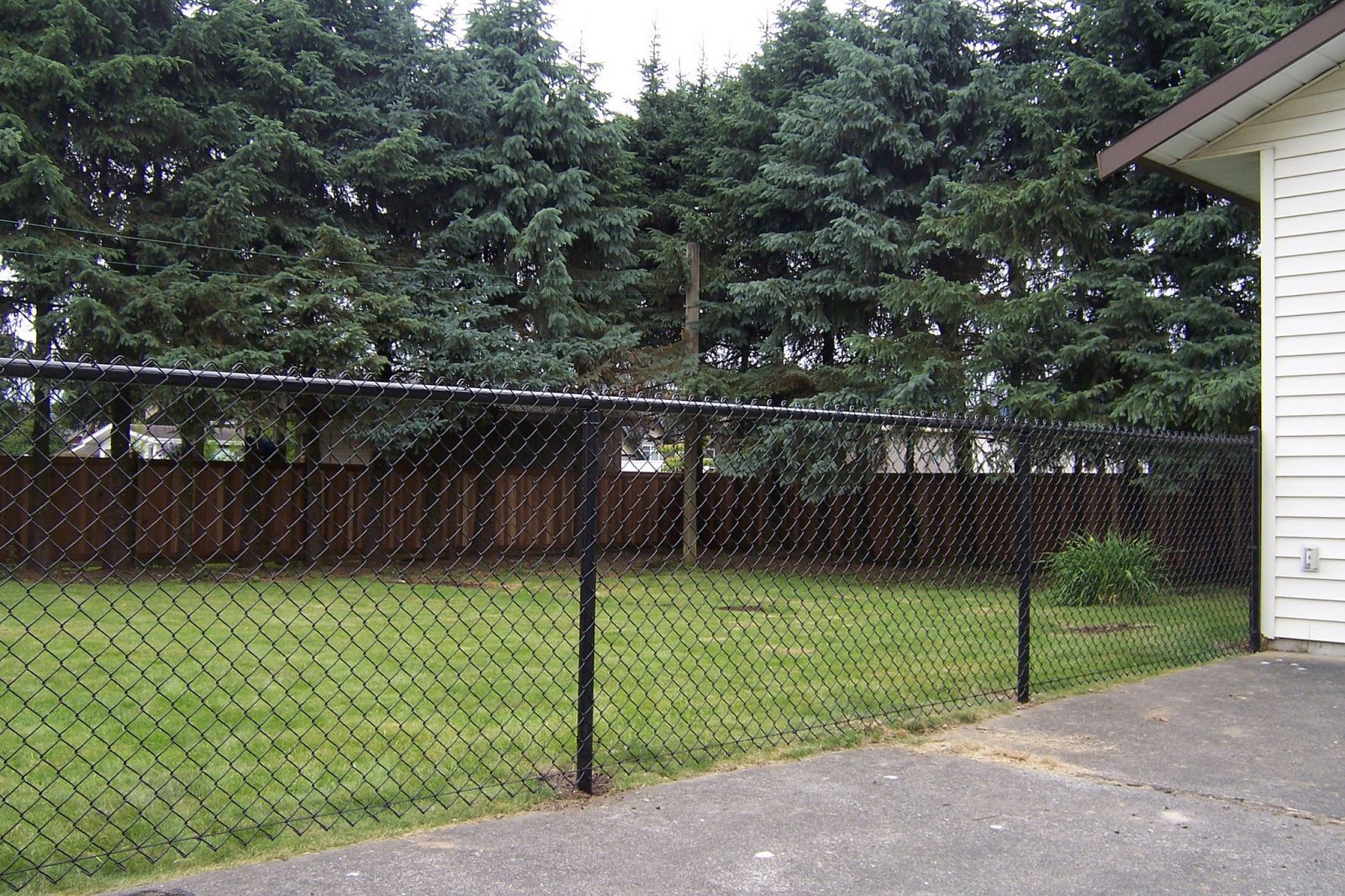 Black chainlink fence around a yard in the Fraser Valley